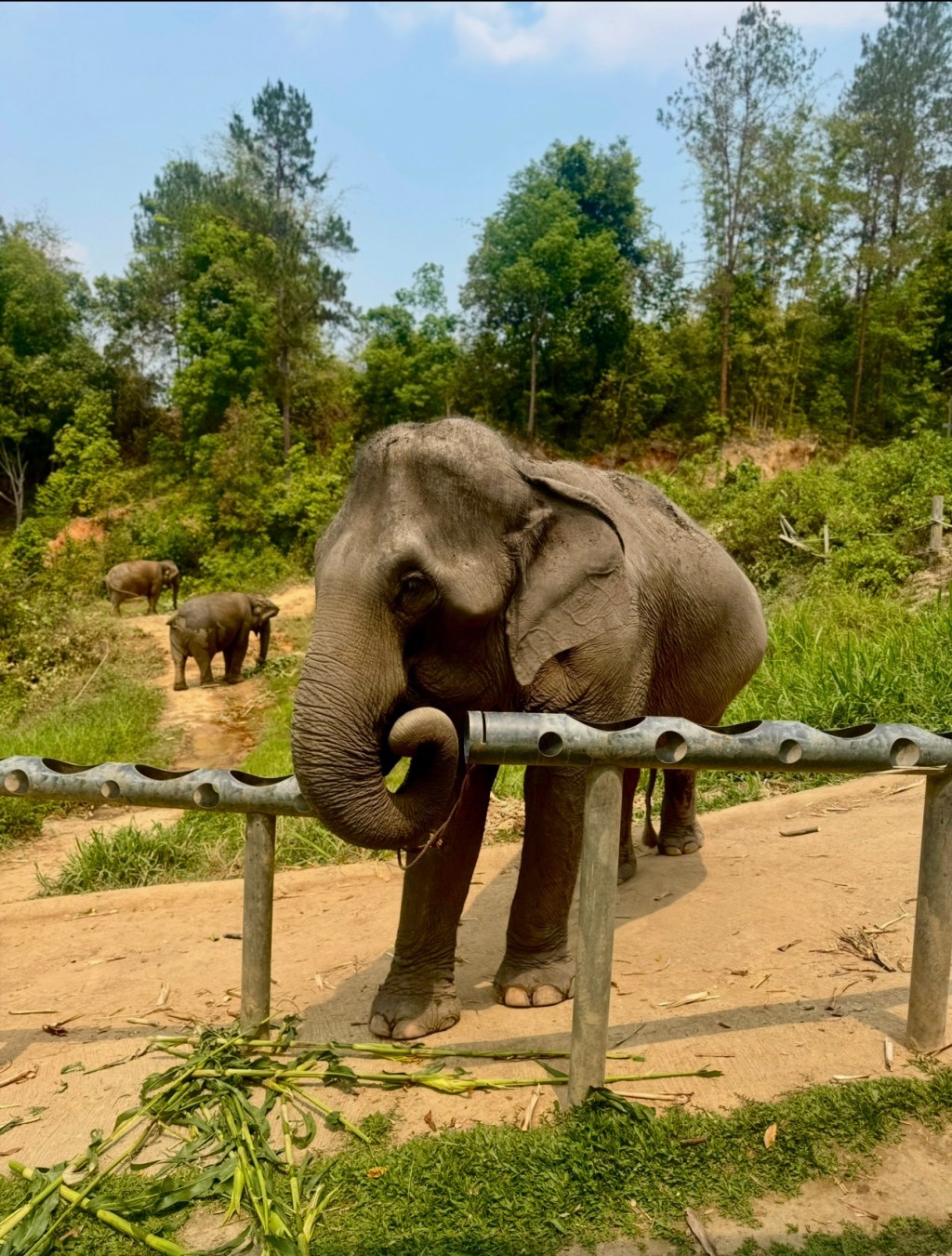 Culture Capital of Thailand: Chiang&nbsp;Mai